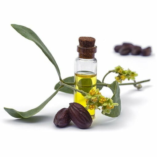 olej jojoba